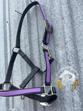 Overlay Mini Black / Violet