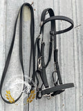 Biothane Bridle Halter combo with reins