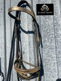 Presentation Halter | Novelty Leather with Chain